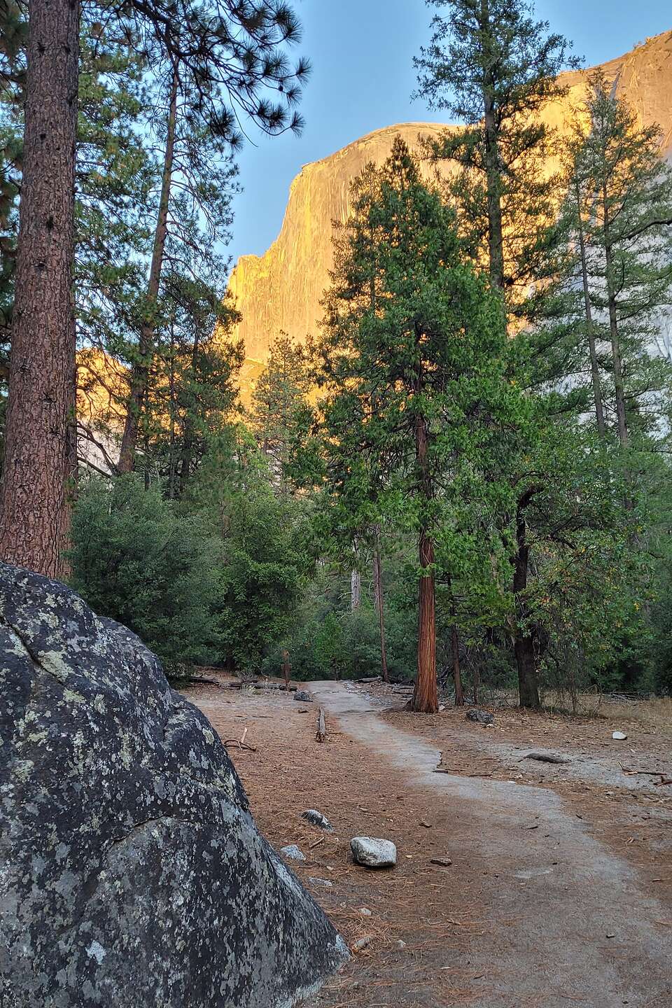 Trail to Mirror Lake